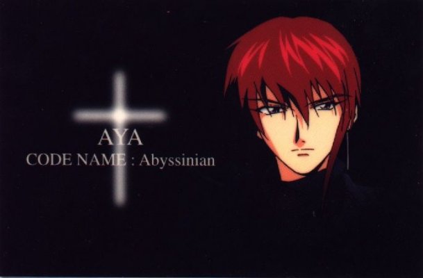 Otaku Gallery  / Anime e Manga / Weiss Kreuz / Personaggi / Weiss / Aya / aya (21).jpg